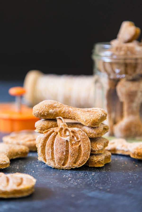Pumpkin Dog Treats in shapes of pumpkins and dog bones