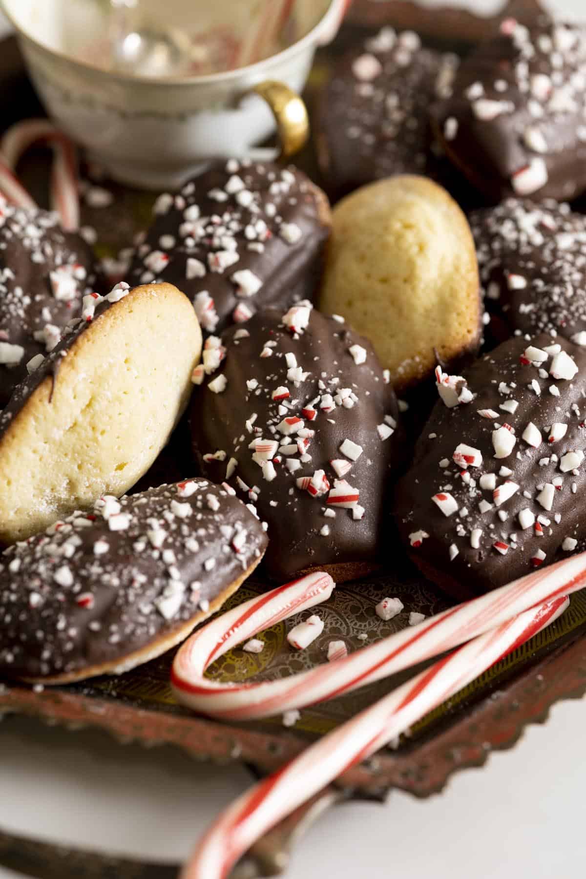 A tray of chocolate dipped madeleines garnished with crushed peppermint candies.