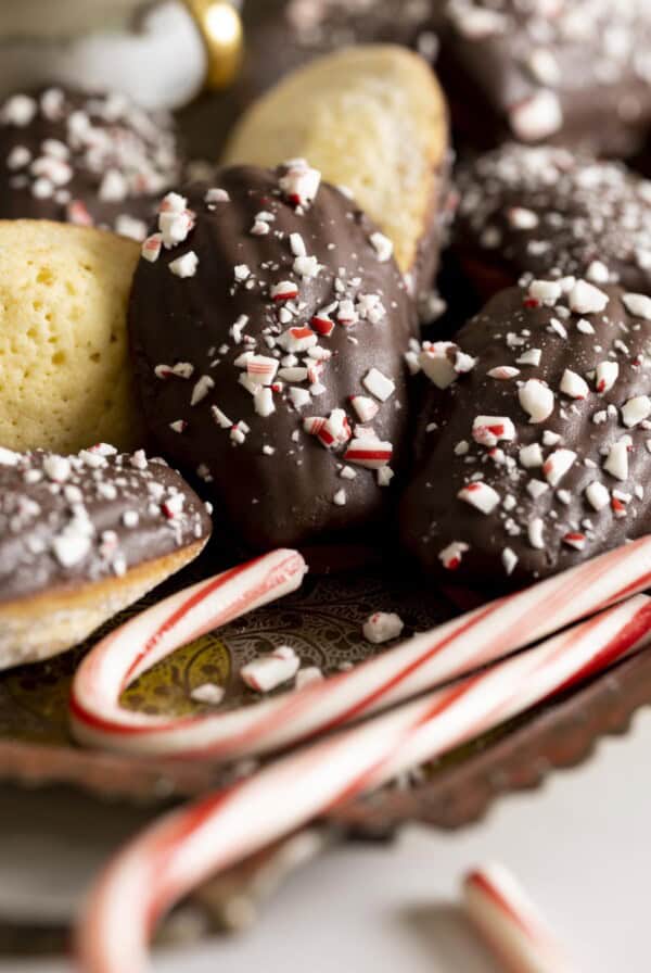 A tray of vanilla madeleines dipped in chocolate and garnished with peppermint candies.