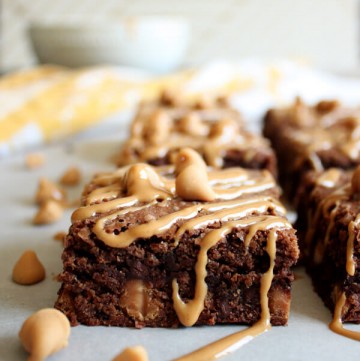 Peanut butter brownies with peanut butter chips and drizzle