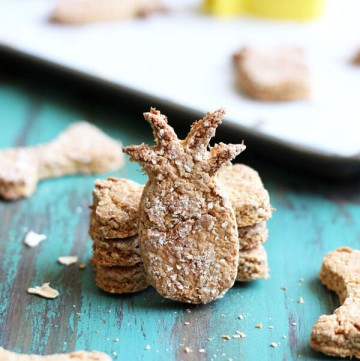 These Tropical Pineapple Coconut Dog Treats will send your pups on a tropical vacation! A simple recipe made with fresh pineapple and coconut oil. | wildwildwhisk.com