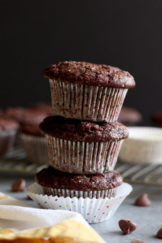 Chocolate Coconut Yogurt Muffins Wild Wild Whisk