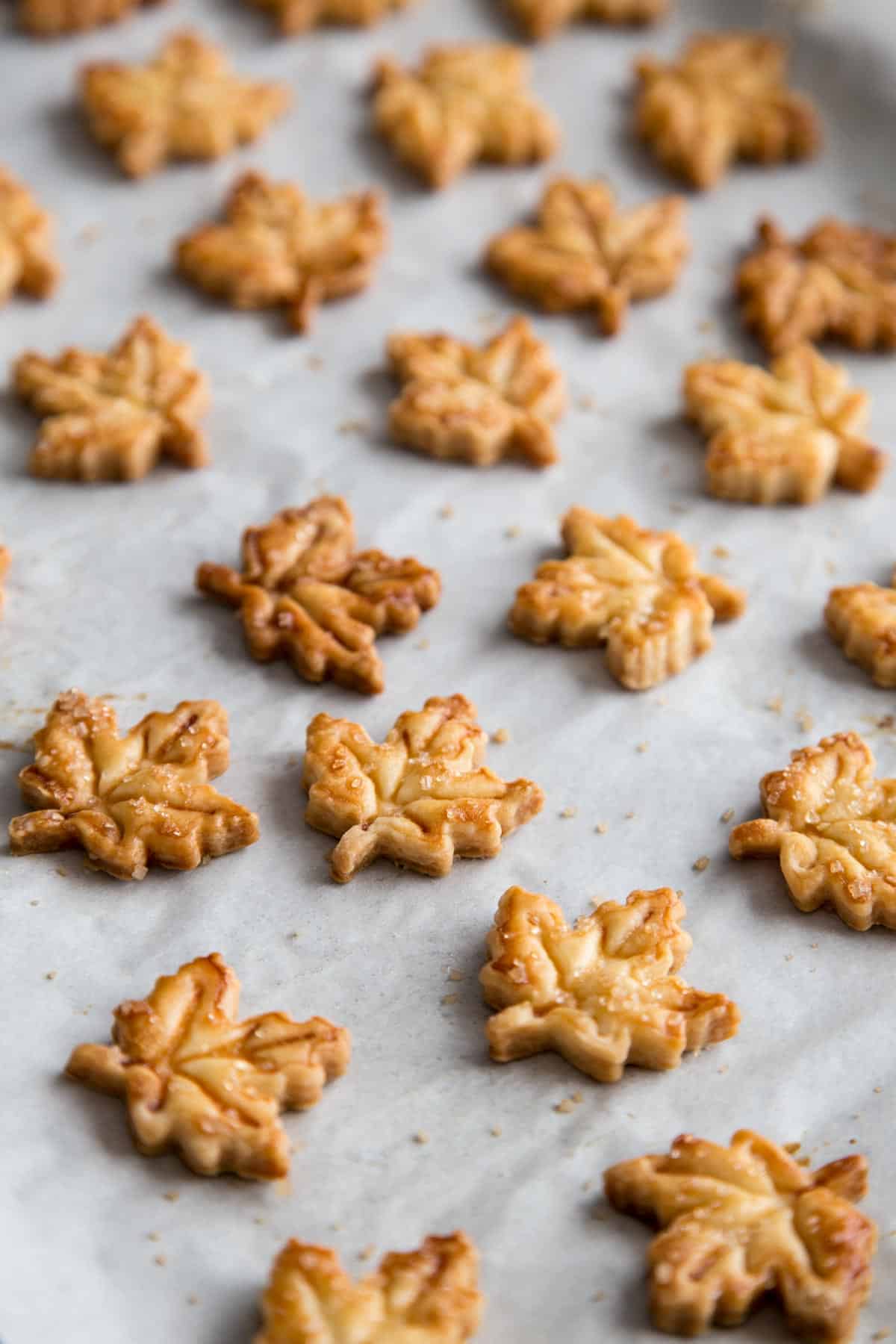 Golden brown maple leaf pie crust cookies on a baking sheet.