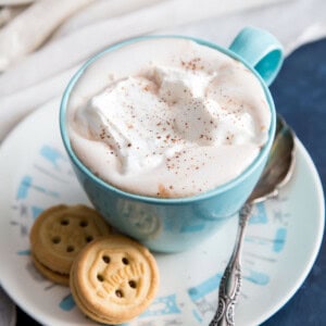 Homemade Hot chocolate with cocoa powder in a blue mug whipped cream and spices on top.