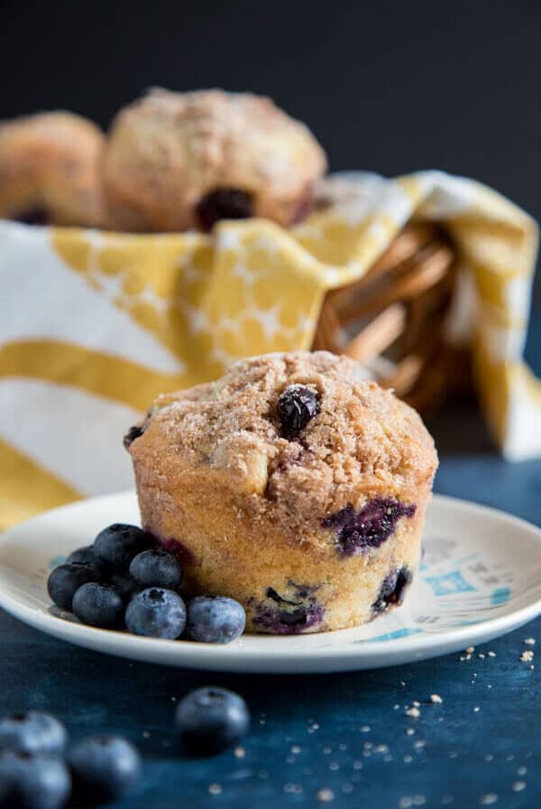 Blueberry muffin on a plate with fresh blueberries scattered around