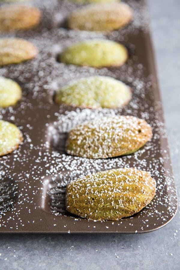 Matcha madeleines dusted with powder sugar in a madeleine pan
