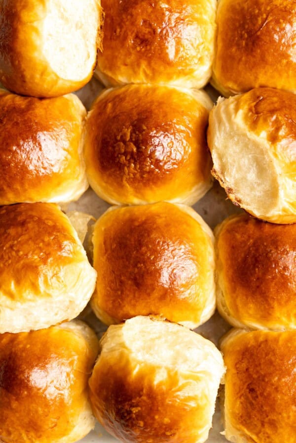 Top view of a batch of coconut milk bread dinner rolls.