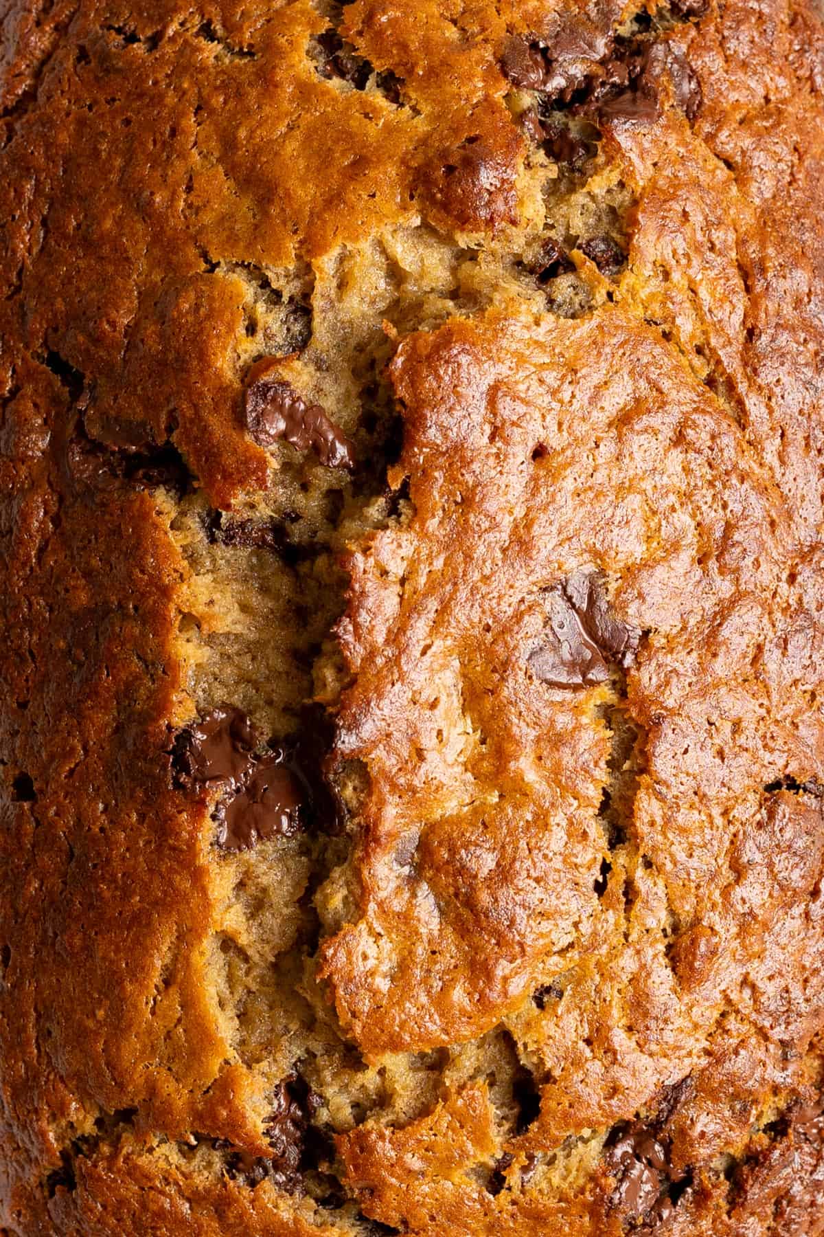Top down view of a fully cooked chocolate chip banana bread.