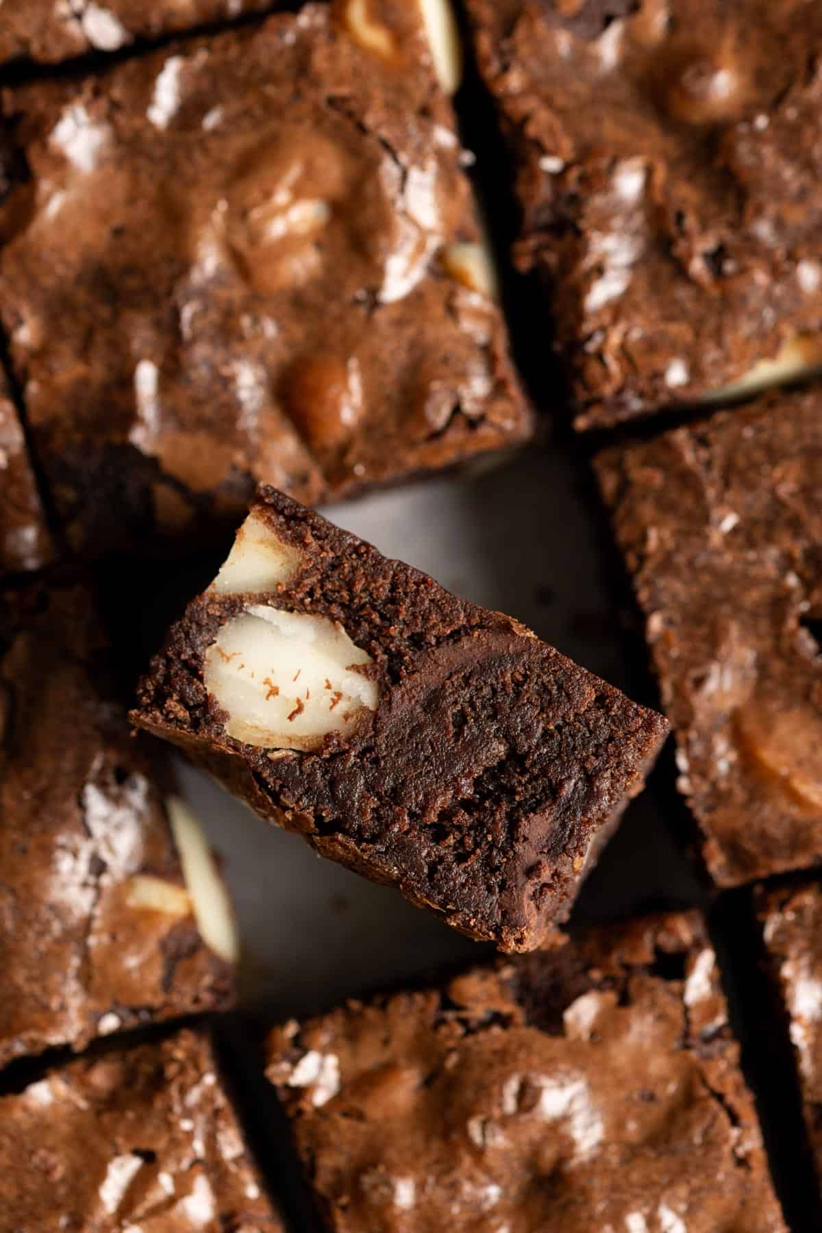 Brownie squares on a flat surface, one is sitting on its side showing the fudgy interior with macadamia nuts.